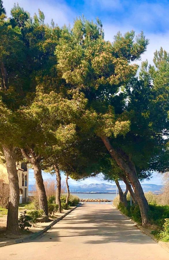 Barcaresa-Elegant Appartement Vue Mer Wifi Parking Le Barcares Bagian luar foto